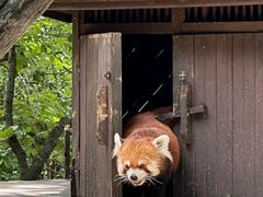 -云南野生动物园