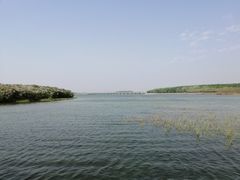 -丁香湖公园