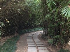 iphone_upload_pic-苏州河梦清园环保主题公园