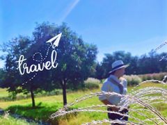 -汉长安城未央宫国家考古遗址公园