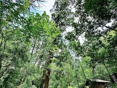 -东天目山风景区