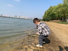 -艾溪湖湿地公园