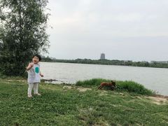 -灞河西岸滨河公园