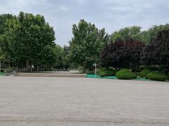 -望湖公园