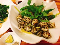 -Draft Beer Restaurant & Bar