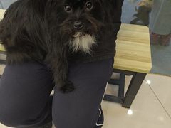 -艾贝尔宠物医院 ·中兽医·宠保定点(北门桥店)