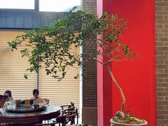 -龙悦湾酒家·八阵鱼生·渔人码头店