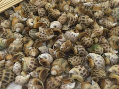 -渔民新村(番禺总店)