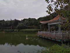 -大屏嶂森林公园
