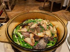 -尚一汤·粤菜海鲜(环球港店)