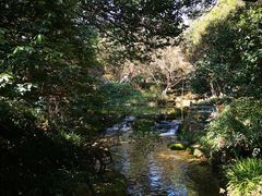-中国茶叶博物馆(双峰馆区)