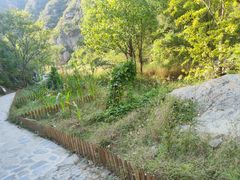 -灵溪风景区