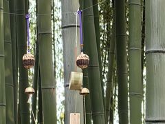 -汇龙潭