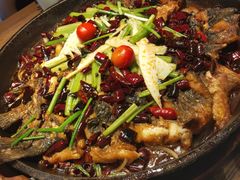 -老板恋上鱼(印象城店)