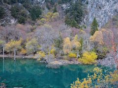 -叠溪松坪沟景区