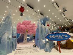 -湘江欢乐城欢乐雪域