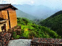 -杨家堂村