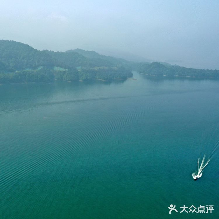 太平猴魁的产地