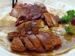 -新梅园不夜粥(龙华店)