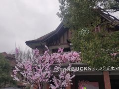 -星巴克臻选(思南公馆店)