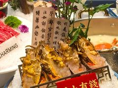 -喜聚薈·花膠雞海鮮火鍋(越秀店)