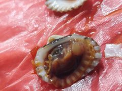 -车头老二大排档