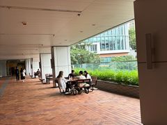 -香港大学