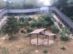 -石家庄市动物园