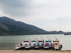 -羚羊峡古栈道森林公园