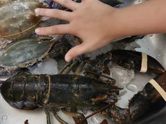 -众彩物流水产市场