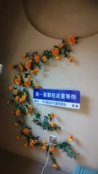 -Hi Beauty Skin 科技美肤中心