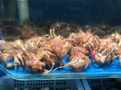 -荣祥海鲜·烟台菜(胜利路二部)