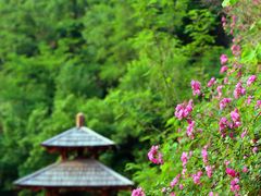 -九如山休闲旅游度假区