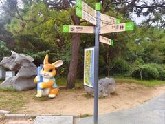 -日照海滨国家森林公园