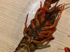 -星伦多 自助料理(圆融店)