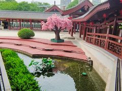 -大唐不夜城贞观广场