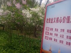 -群力丁香公园