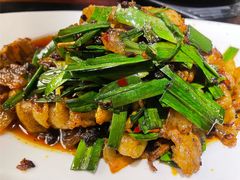 回锅肉-陈麻婆豆腐总店
