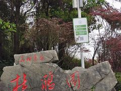 -铁山坪森林公园