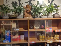 -南海鸽天下(肇庆店)