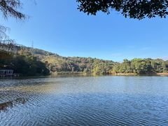 -广州市石门国家森林公园