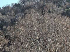 -绍兴饭店知遇楼(环山路店)