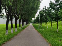 -东升八家郊野公园