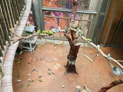 -正佳雨林生态植物园