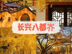 -东白山