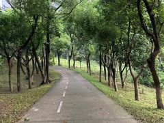 -燕晗山郊野公园