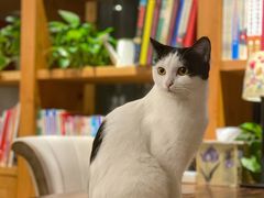 -么么咖啡(燕郊店)