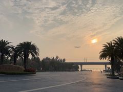 -宝安西湾红树林湿地公园