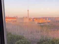 -常州环球恐龙城维景国际大酒店