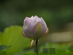 -国家植物园南园